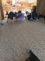 Čarodějnice u Hvězdiček