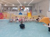 Kurz plavání MŠ a 1.třída