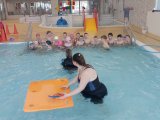 Kurz plavání MŠ a 1.třída