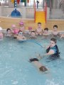 Kurz plavání MŠ a 1.třída