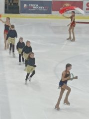 Lední revue