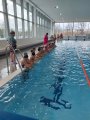 Plavání MŠ a 1. třída