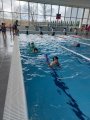Plavání MŠ a 1. třída