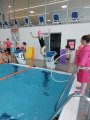Plavání MŠ a 1. třída