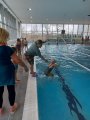 Plavání MŠ a 1. třída