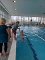 Plavání MŠ a 1. třída