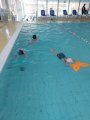 Plavání MŠ a 1. třída
