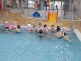 Plavání MŠ a 1. třída