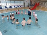Plavání MŠ a 1. třída