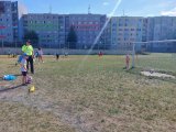 Polisiáda