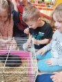 Štěňátka, králíci, kuřátka, selátka