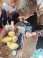 Štěňátka, králíci, kuřátka, selátka