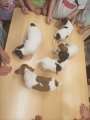 Štěňátka, králíci, kuřátka, selátka