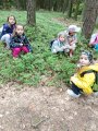 Stezka Lesní zvířata - Hvězdičky