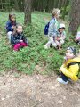 Stezka Lesní zvířata - Hvězdičky