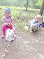 Stezka Lesní zvířata - Hvězdičky