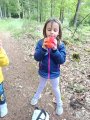 Stezka Lesní zvířata - Hvězdičky