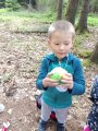 Stezka Lesní zvířata - Hvězdičky