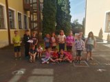 Vyhodnocení sběru pomerančové kůry 2026