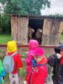 Výlet ZOO Hrádeček u Třeboně