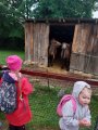 Výlet ZOO Hrádeček u Třeboně