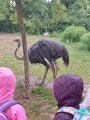 Výlet ZOO Hrádeček u Třeboně