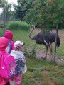 Výlet ZOO Hrádeček u Třeboně