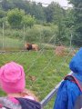 Výlet ZOO Hrádeček u Třeboně