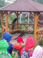 Výlet ZOO Hrádeček u Třeboně