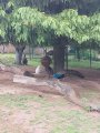 Výlet ZOO Hrádeček u Třeboně