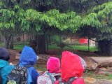 Výlet ZOO Hrádeček u Třeboně