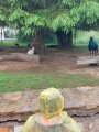 Výlet ZOO Hrádeček u Třeboně