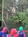 Výlet ZOO Hrádeček u Třeboně