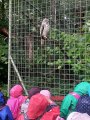 Výlet ZOO Hrádeček u Třeboně