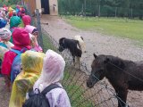 Výlet ZOO Hrádeček u Třeboně