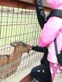 Výlet ZOO Hrádeček u Třeboně