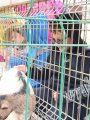 Výlet ZOO Hrádeček u Třeboně