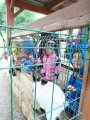 Výlet ZOO Hrádeček u Třeboně