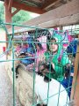Výlet ZOO Hrádeček u Třeboně