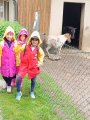 Výlet ZOO Hrádeček u Třeboně