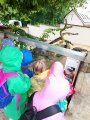 Výlet ZOO Hrádeček u Třeboně