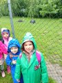 Výlet ZOO Hrádeček u Třeboně