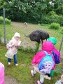 Výlet ZOO Hrádeček u Třeboně