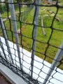 Výlet ZOO Hrádeček u Třeboně