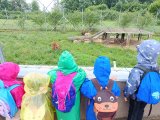 Výlet ZOO Hrádeček u Třeboně