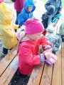 Výlet ZOO Hrádeček u Třeboně