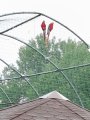 Výlet ZOO Hrádeček u Třeboně
