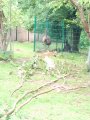 Výlet ZOO Hrádeček u Třeboně