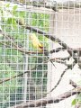 Výlet ZOO Hrádeček u Třeboně