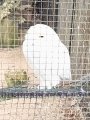 Výlet ZOO Hrádeček u Třeboně